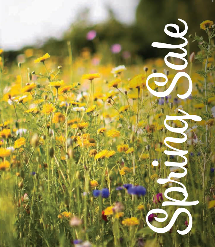 Francis Furniture Spring Savings Sale